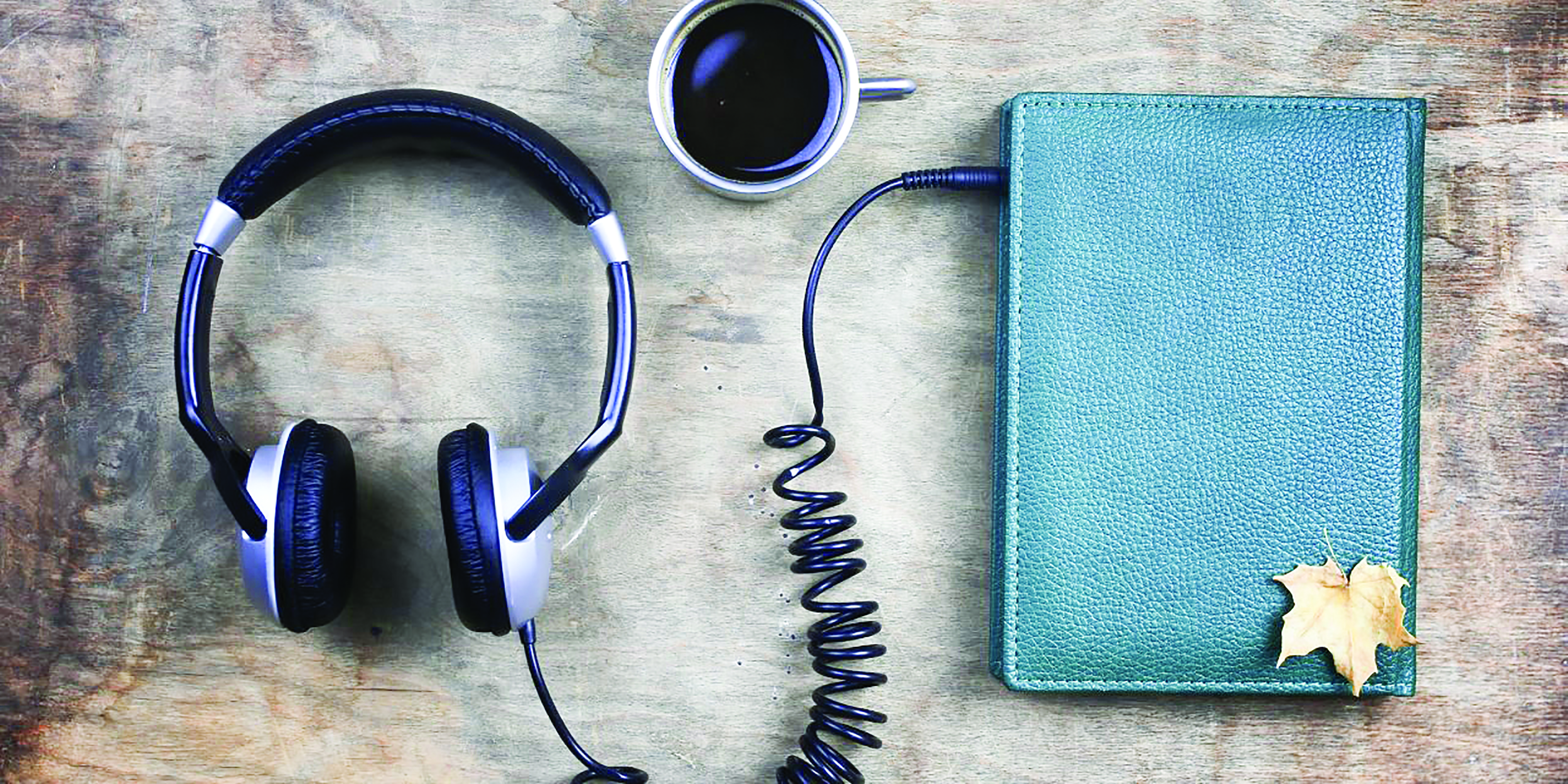 الروائيون إنْ أجبروا على اعتزال الورق